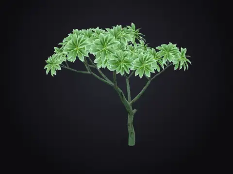 Stylised Manga Tree 3D model