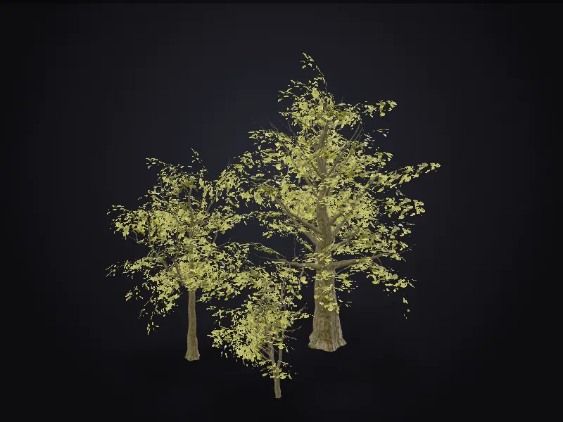 Oak Trees 3D model